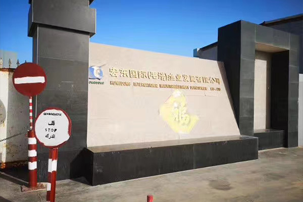 出口毛里塔尼亞一化工廠用6噸、10噸燃?xì)庹羝仩t項(xiàng)目